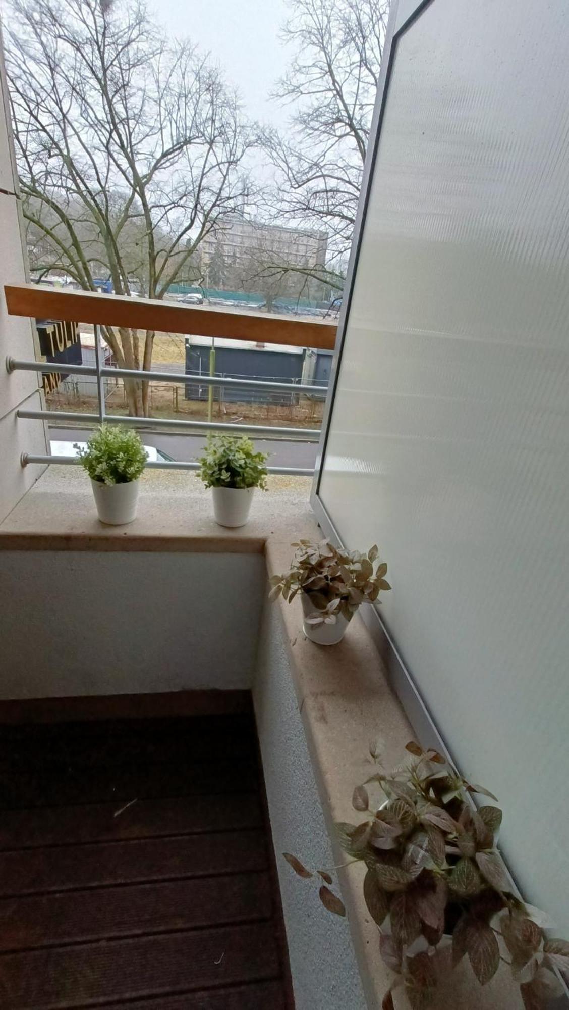 120 W 5 Gwiazdowym Royal Tulip Sand 200 M Od Plazy Dobruk Apartamenty Kolobrzeg Exterior photo